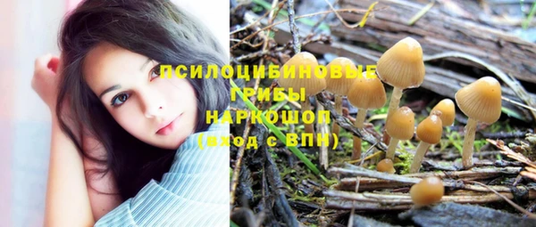 крисы Михайлов
