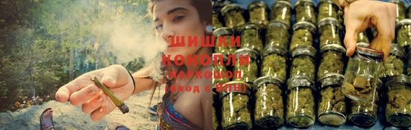 PSILOCYBIN Михайловка