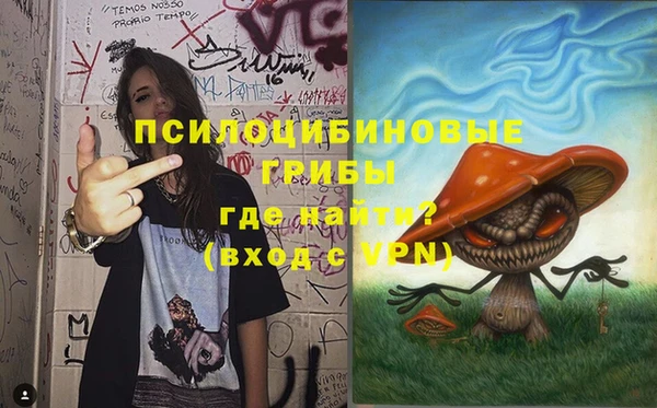 соль ск Медногорск