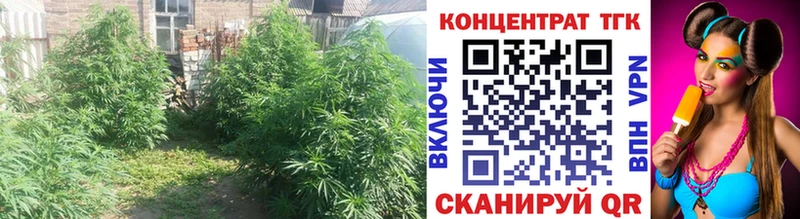 Дистиллят ТГК THC oil  Купить где  Новоаннинский 