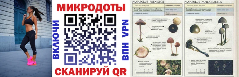 Псилоцибиновые грибы ЛСД  Купить  Новоаннинский 