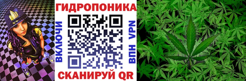 Купить где  Новоаннинский  Шишки марихуана конопля 